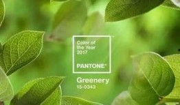 2017青草在线观看,年度热门影视盛宴回顾