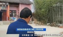 户外大鹏被爆料视频造假,揭秘真相背后的疑云